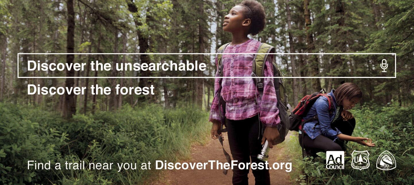 Discover The Unsearchable poster - Discover The Forest
